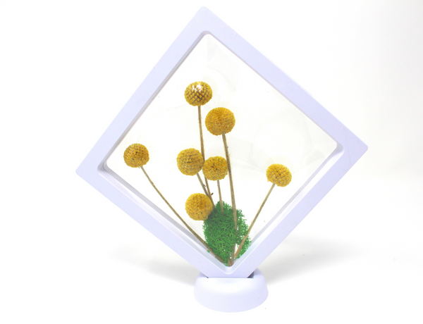 The BILLY Dried Flower Frame