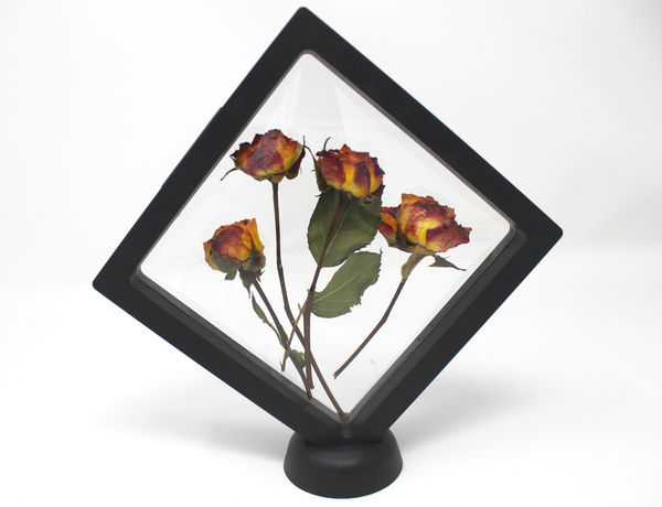 The ROSY Dried Flower Frame