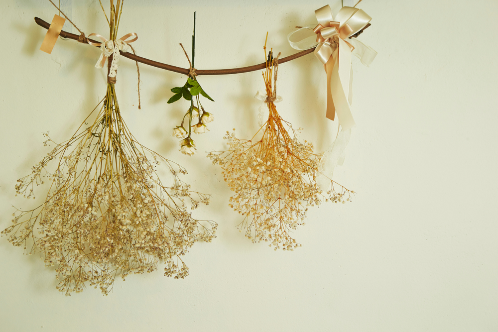 mold on dried flowers prevention