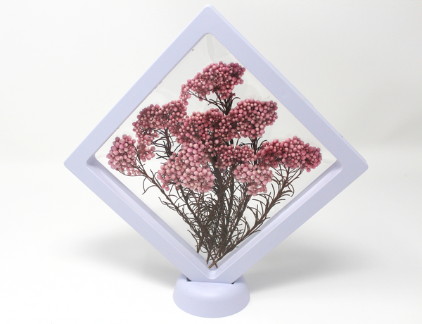 The CORAL Dried Flower Frame
